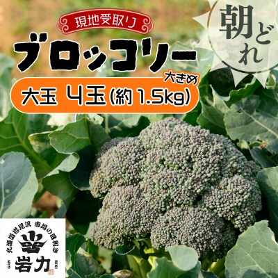 市場の目利き ブロッコリー 大玉4玉【a142-004】