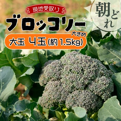 【引換券(現地受取)】市場の目利き 北海道岩見沢産ブロッコリー 大玉4玉