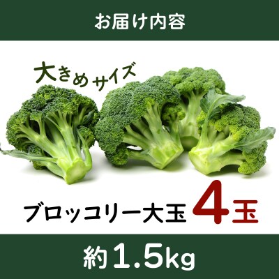 【引換券(現地受取)】市場の目利き 北海道岩見沢産ブロッコリー 大玉4玉