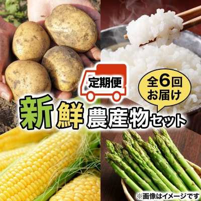 <先行受付>いわみざわの新鮮農産物セット(5or6月～11月 全6回)※定期便