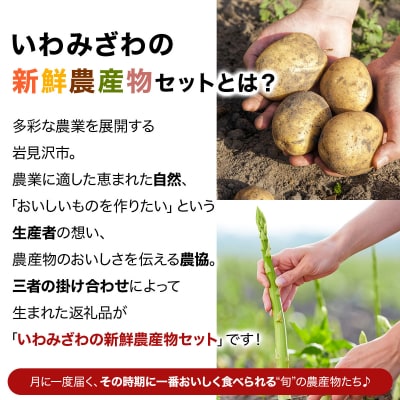 <先行受付>いわみざわの新鮮農産物セット(5or6月～11月 全6回)※定期便