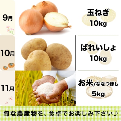 <先行受付>いわみざわの新鮮農産物セット(5or6月～11月 全6回)※定期便