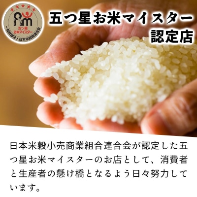 令和6年産!上志文産メープル米 砂田さんの「おぼろづき」10kg