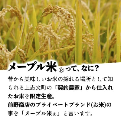 令和6年産!上志文産メープル米 砂田さんの「おぼろづき」5kg