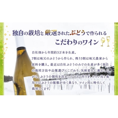 北海道岩見沢市の風土を生かした宝水ワイナリー「雪の系譜」ワイン2本セット(赤・白)