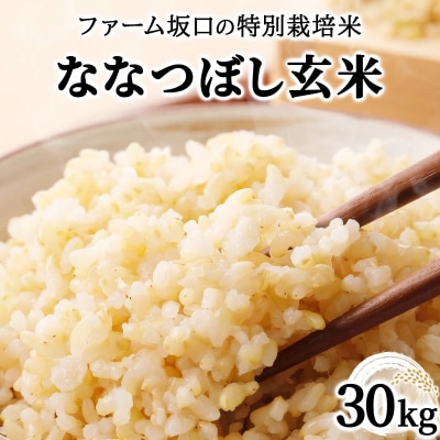 令和7年産!ファーム坂口の特別栽培米 ななつぼし玄米 30kg (30kg×1袋)