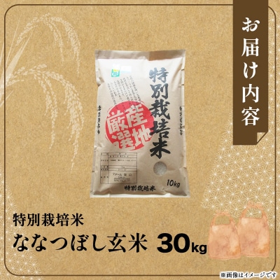 令和6年産!ファーム坂口の特別栽培米 ななつぼし玄米 30kg (30kg×1袋)