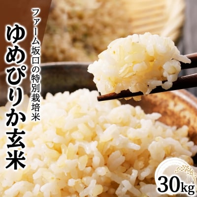 令和6年産!ファーム坂口の特別栽培米 ゆめぴりか玄米 30kg (30kg×1袋)