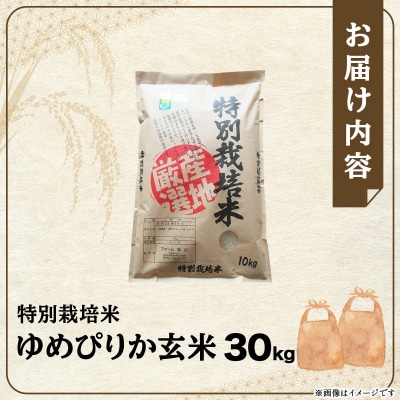 令和6年産!ファーム坂口の特別栽培米 ゆめぴりか玄米 30kg (30kg×1袋)