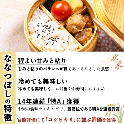令和7年産!岩見沢産 特別栽培米 峯さんの「ゆめぴりか」「ななつぼし」セット(各5kg×1)