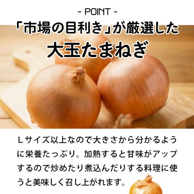 【引換券(現地受取)】市場の目利き 北海道岩見沢産たまねぎ 10kg