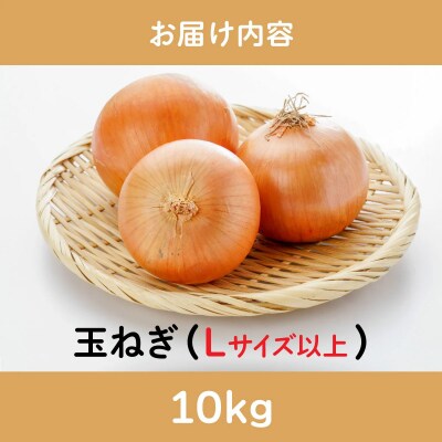 【引換券(現地受取)】市場の目利き 北海道岩見沢産たまねぎ 10kg
