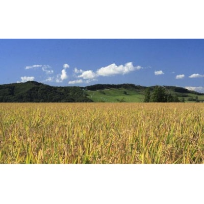  令和7年産【精白米】食べ比べ 15kgセット(ゆめぴりか5kgななつぼし5kgふっくりんこ5kg)