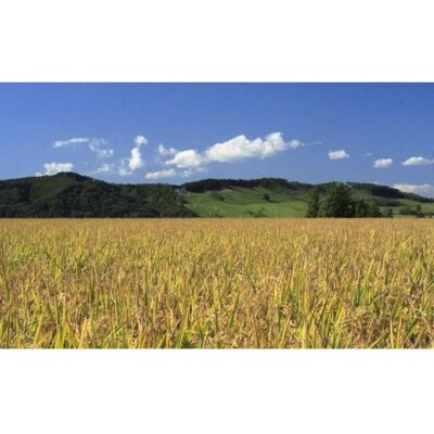 令和6年産【精白米】5つ星お米マイスターの契約栽培米 食べ比べ10kgセット