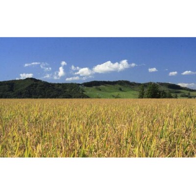 令和7年産【無洗米】5つ星お米マイスターの契約栽培米 食べ比べ6kgセット