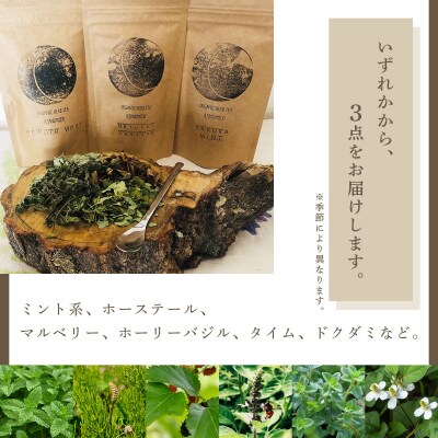 【定期便】森のハーブティーセット(3点合計39g) ≪1ヶ月に1回 計3回のお届け≫