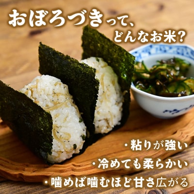 令和6年産 上志文産メープル米「おぼろづき」5kg【3ヶ月定期便】