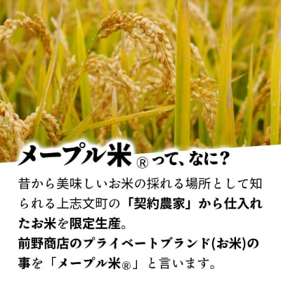 令和6年産 上志文産メープル米「ゆめぴりか」10kg