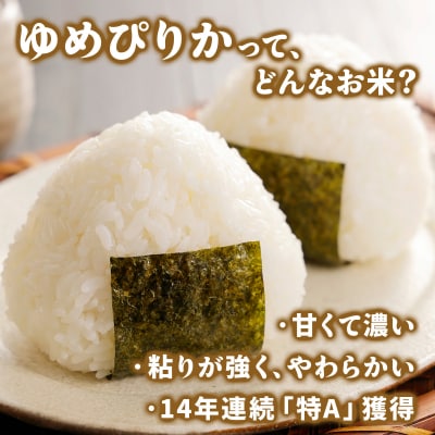 令和6年産 上志文産メープル米「ゆめぴりか」10kg
