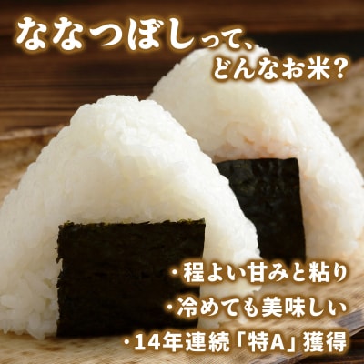 令和6年産 上志文産メープル米「ななつぼし」5kg【3ヶ月定期便】