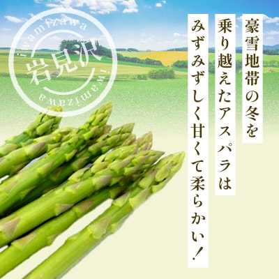 北海道岩見沢産グリーンアスパラ 2Lサイズ1kg【a142-002】
