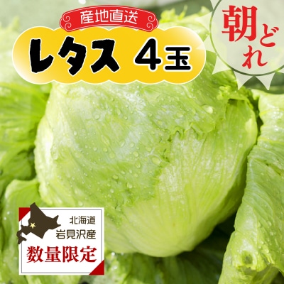≪先行受付≫市場の目利き　北海道岩見沢産　レタス4玉　【a142-008】 | ふるさと納税のお礼品