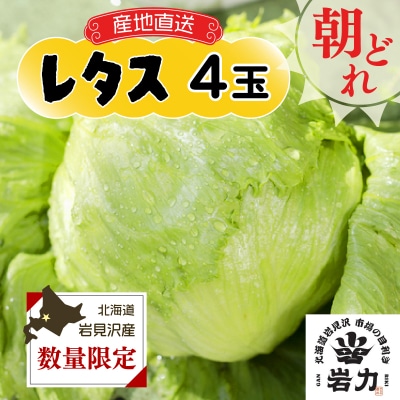 市場の目利き レタス4玉【a142-008】