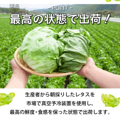 ≪先行受付≫市場の目利き　北海道岩見沢産　レタス4玉　【a142-008】