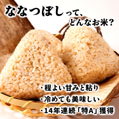 令和7年産!岩見沢産 特別栽培米 峯さんの「ななつぼし」玄米5kg