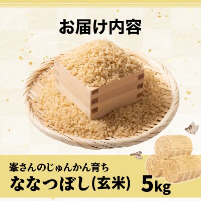 令和7年産!岩見沢産 特別栽培米 峯さんの「ななつぼし」玄米5kg