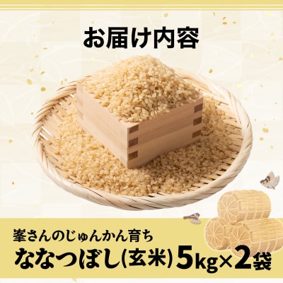 岩見沢産 じゅんかん育ち 峯さんの「ななつぼし」玄米 10kg(5kg×2袋)
