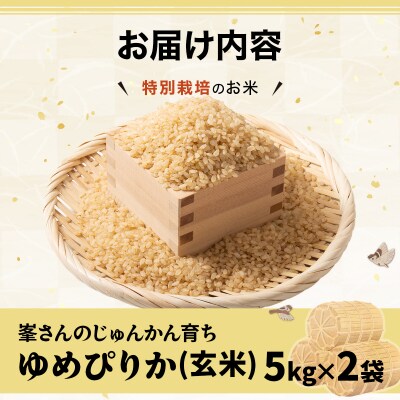 令和7年産!岩見沢産 特別栽培米 峯さんの「ゆめぴりか」玄米10kg(5kg×2)