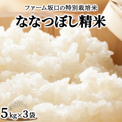 《令和7年産》お米 ななつぼし精米 15kg|米 精米 北海道 岩見沢市 ファーム坂口の特別栽培米