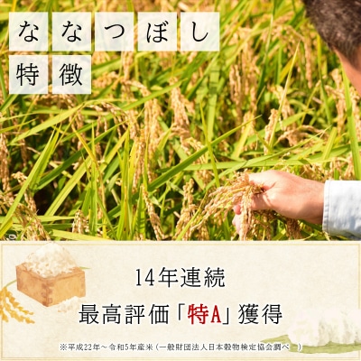 《令和7年産》お米 ななつぼし精米 15kg|米 精米 北海道 岩見沢市 ファーム坂口の特別栽培米