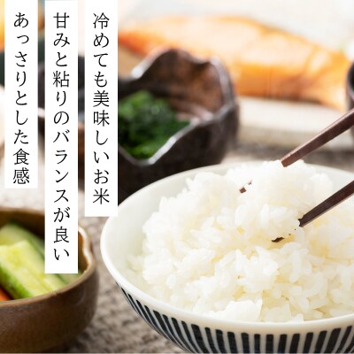 令和7年産 ファーム坂口の特別栽培米 ななつぼし精米 15kg