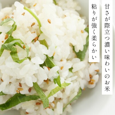 令和7年産 ファーム坂口の特別栽培米 ゆめぴりか精米 15kg