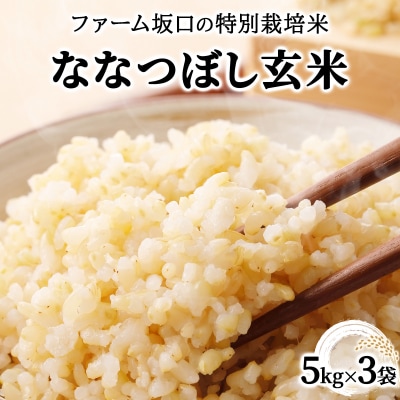令和7年産 ファーム坂口の特別栽培米 ななつぼし玄米 15kg