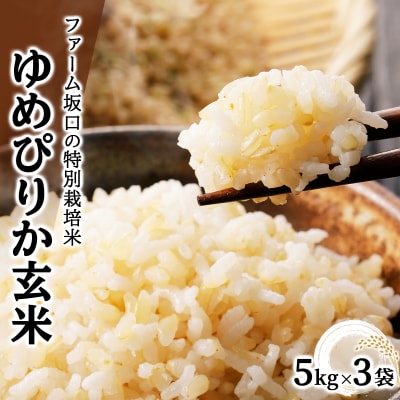 令和7年産 ファーム坂口の特別栽培米 ゆめぴりか玄米 15kg