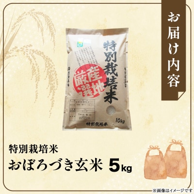 令和 7年産!ファーム坂口の特別栽培米 おぼろづき玄米5kg