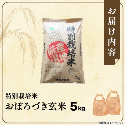 令和 7年産!ファーム坂口の特別栽培米 おぼろづき玄米5kg