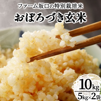 令和7年産!ファーム坂口の特別栽培米 おぼろづき玄米10kg(5kg×2袋)