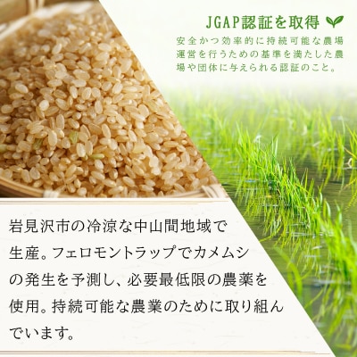 令和7年産!ファーム坂口の特別栽培米 おぼろづき玄米10kg(5kg×2袋)