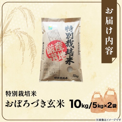 令和7年産!ファーム坂口の特別栽培米 おぼろづき玄米10kg(5kg×2袋)