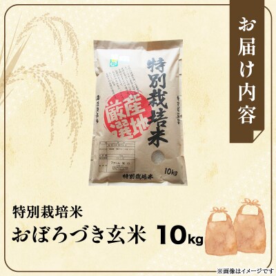 令和7年産!ファーム坂口の特別栽培米 おぼろづき玄米10kg(10kg×1袋)