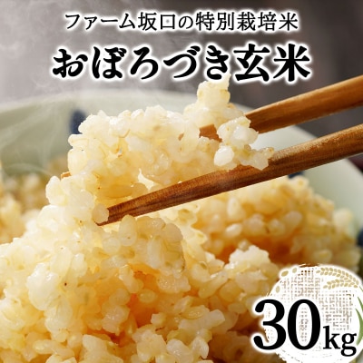 令和7年産!ファーム坂口の特別栽培米 おぼろづき玄米30kg