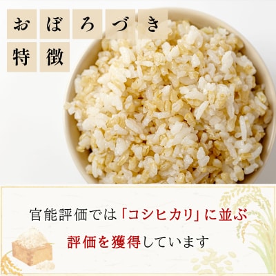 令和7年産!ファーム坂口の特別栽培米 おぼろづき玄米30kg