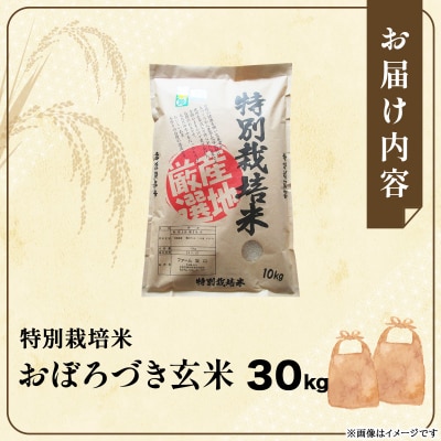 令和7年産!ファーム坂口の特別栽培米 おぼろづき玄米30kg