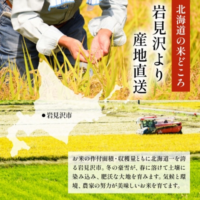 令和7年産 岩見沢産 ななつぼし 10kg (5kg×2) 精米