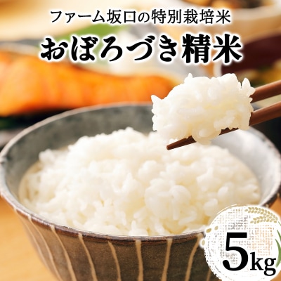 令和7年産!ファーム坂口の特別栽培米 おぼろづき精米 5kg