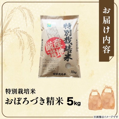 令和7年産!ファーム坂口の特別栽培米 おぼろづき精米 5kg